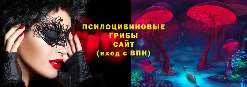 Галлюциногенные грибы мицелий  Новосиль 